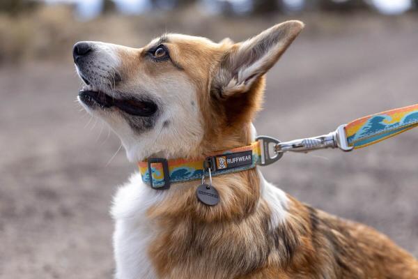 Ruffwear Crag Collar Rising Wave 28-36cm Ruffwear Crag Collar Rising Wave 28-36cm